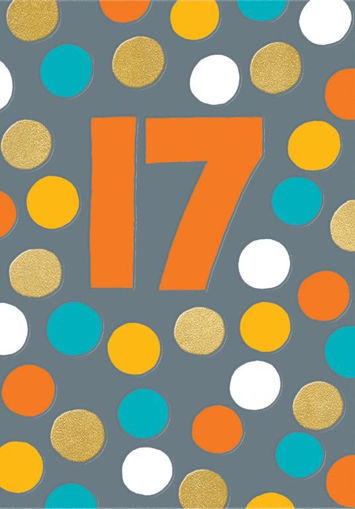 Picture of 17TH BIRTHDAY CARD MALE
